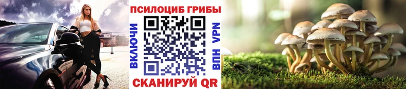 продажа наркотиков Харовск Псилоцибиновые грибы GOLDEN TEACHER